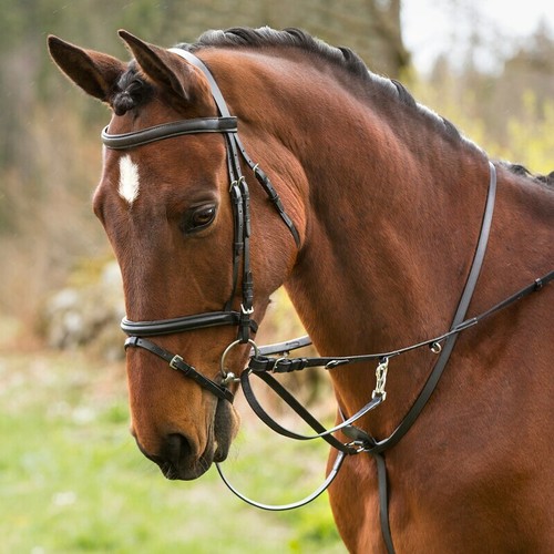 Set thiedeman reins - thiedeman,