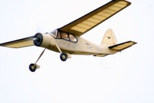 KK Ladybird ~ FF/RC Model