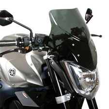 Cupolino Yamaha FZ1 YF1300