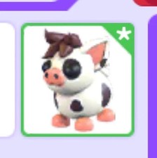 Adopt Me Roblox - Mini maiale