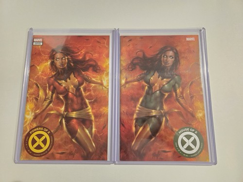 House powers of x - powers, #1