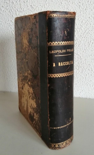 Raccolta leopoldo pulle - raccolta,