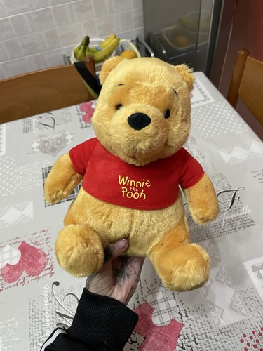 Winnie the pooh peluche - the,