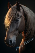 Poster Da Parete A4 Ritratto