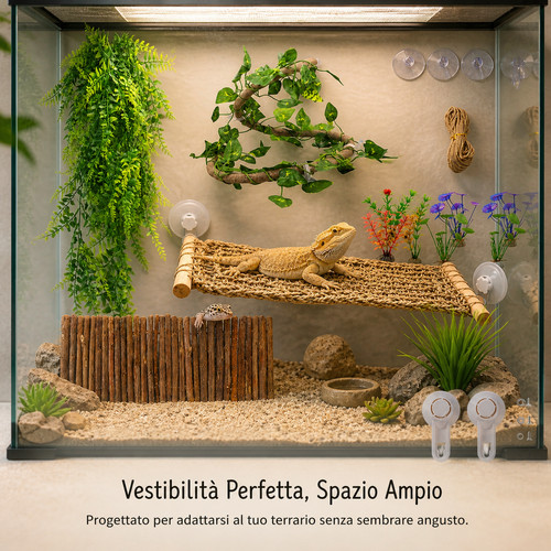 Allestimento terrario rettili - allestimento,