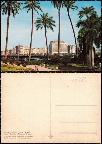 Cartolina cairo - cartolina,