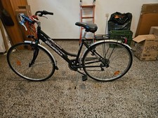 bici da donna trekking come