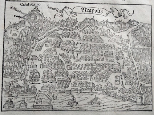 1556 xilografia munster - munster, pianta