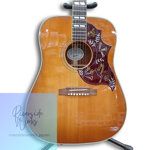 Gibson electro acustic - gibson, electro-acustic