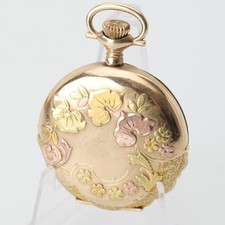 Antique Elgin Pocket Watch