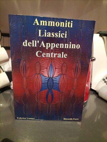 Ammoniti liassici - ammoniti,