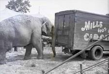 1954 Mills Bros Circus - Big