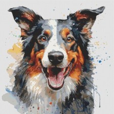 Pastore australiano cucciolo