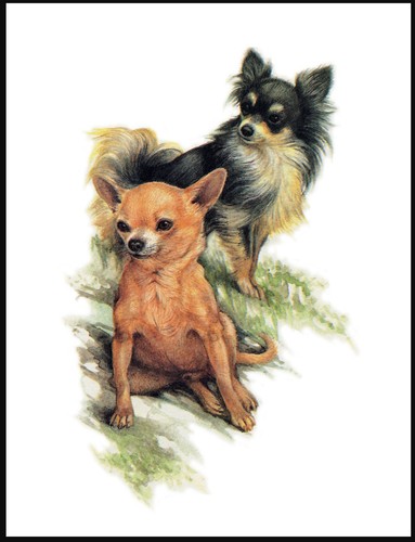 Poster stampa artistica - poster,
