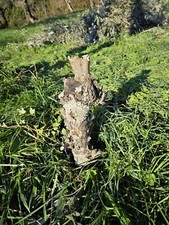 Legno di ulivo/olivo, Wood 49*24*8 Cm Naturale per Gabbia Animali, decorazioni