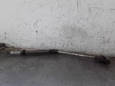 CANNA DELLO STERZO (PIANTONE)