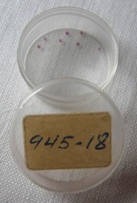 NOS New Citizen 945-18 945 18 Lower Cap Jewel for Escape Wheel