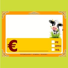 KIT 25 CARTELLINI NEUTRI