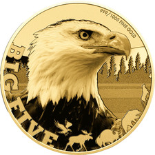 Moneta oro 2024 Ciad .999