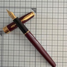 Penna stilografica Parker