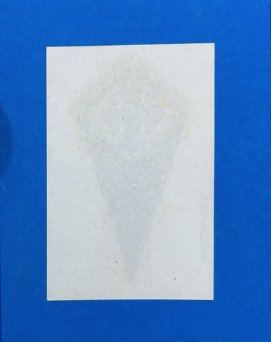Figurina calciatori panini - calciatori,