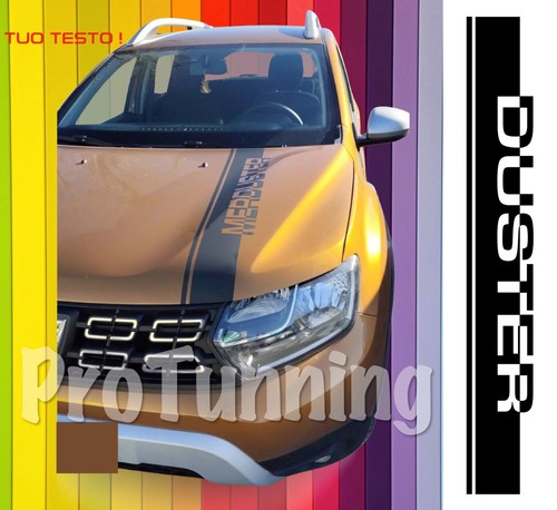 Dacia duster sandero striscia - dacia,