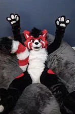 Furry Fursuit Mascotte Cane