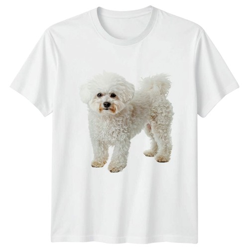 Shirt bichon frise - t-shirt,