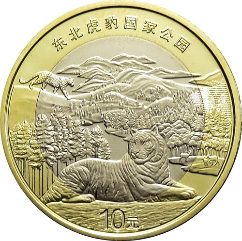 Yuan 2024 cina parco - 10,