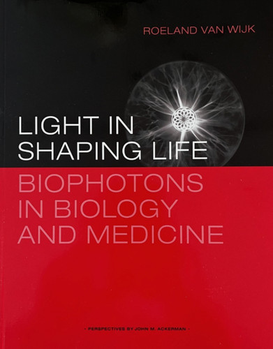 Light shaping life - in,