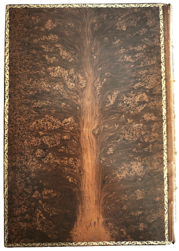 Stunning tree calf binding - tree,