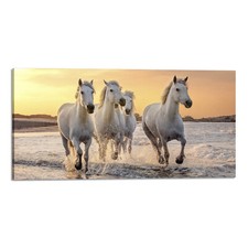 Quadro Stampa su Tela con