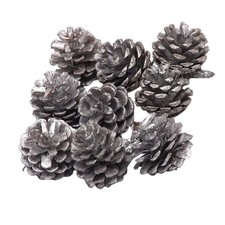 Set 9 pigne per decorazioni