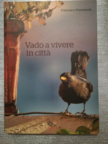 Vado vivere città il - in,