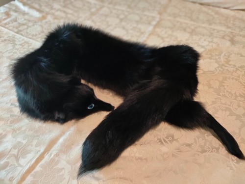 Collo pelliccia volpe - di,