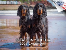 Gordon Setter Calendario Razza