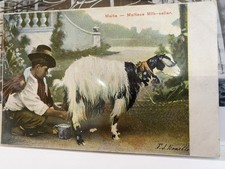 Antique Maltese Goat Milk