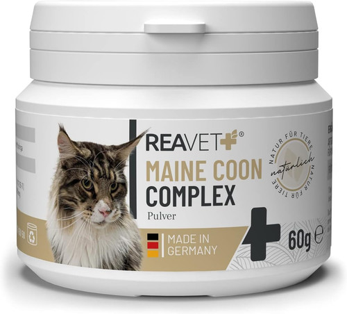 Maine coon complex - coon, complex,