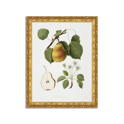 Quadro stampa tela - su,