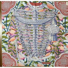 Foulard Hermes Brandebourgs