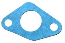 Guarnizione tendicatena