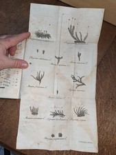 libro antico-J. Adami