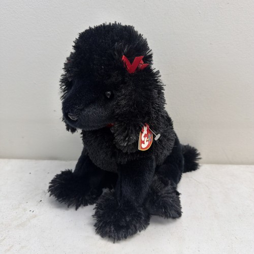 Gigi barboncino nero - ty,