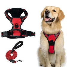 Gilet Riflettente per Cani
