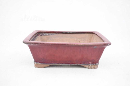 Vaso per bonsai bordeaux - vaso,