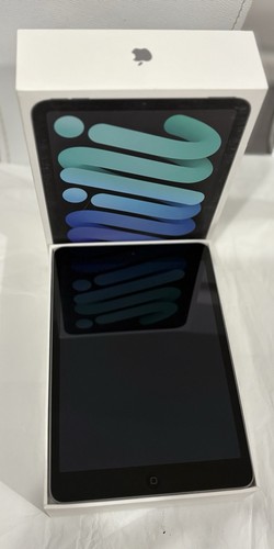 Apple mini ipad gb - ipad, 2