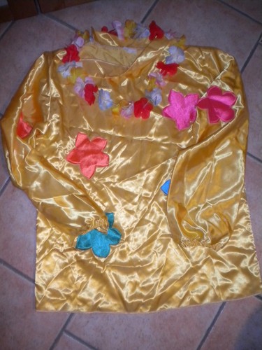Vestiti costumi carnevale - vestiti,