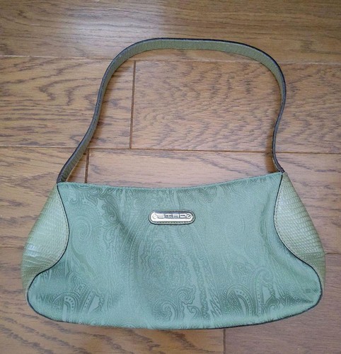 Etro women bag - etro, pattern