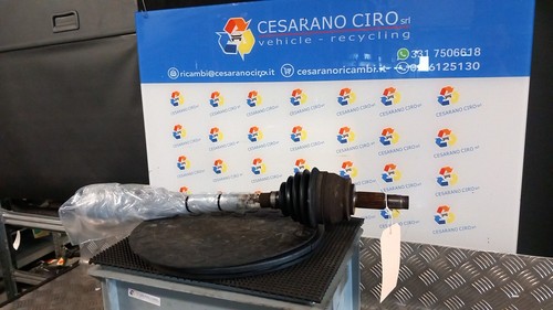 Semialbero ant compl - semialbero, compl.