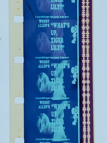 16mm woody allen what up - allen's,